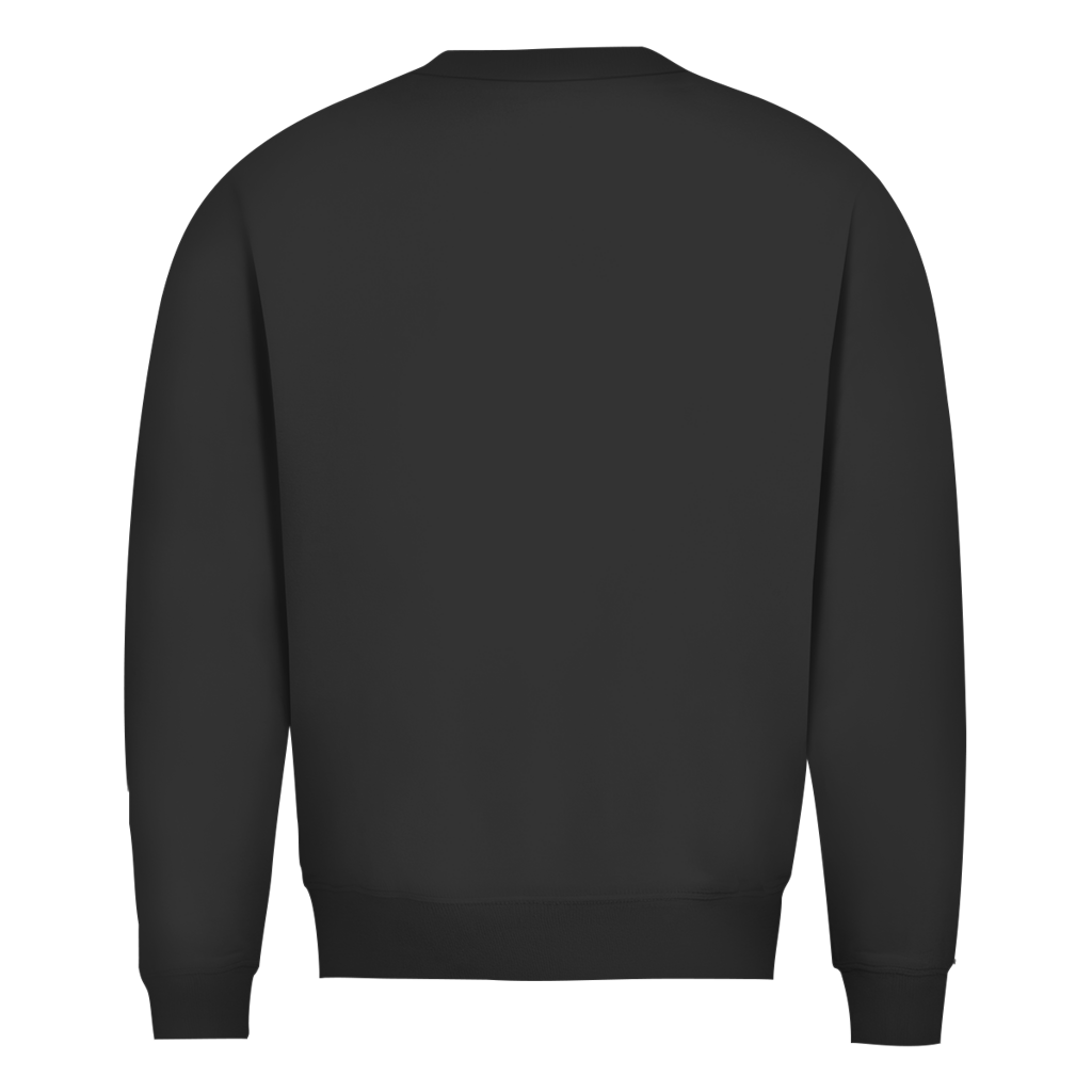 Herren Sweatshirt „Ich kam, sah und bestellte Bier“ – Lustiger Bierspruch Pullover & Statement Shirt