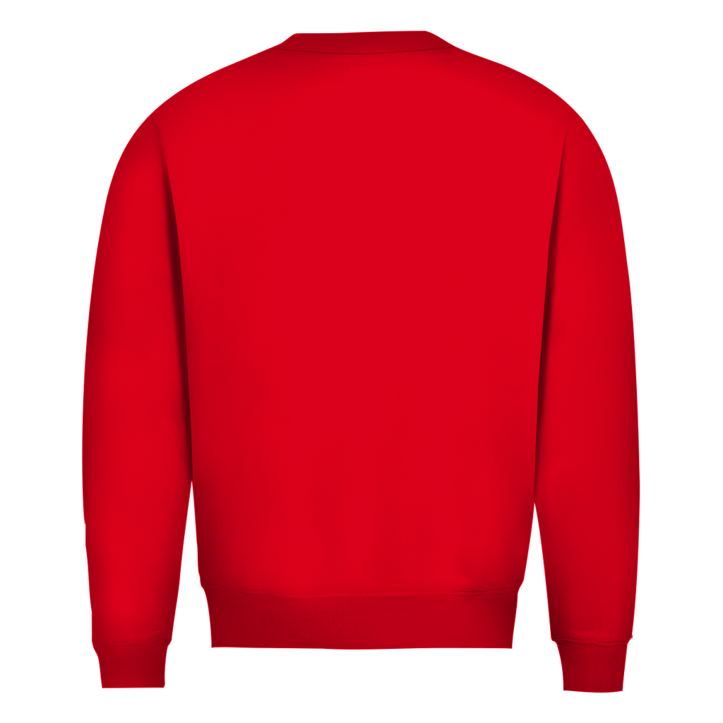 Herren Sweatshirt „Chaos mit STIL“ – Statement Sweatshirt mit Humor