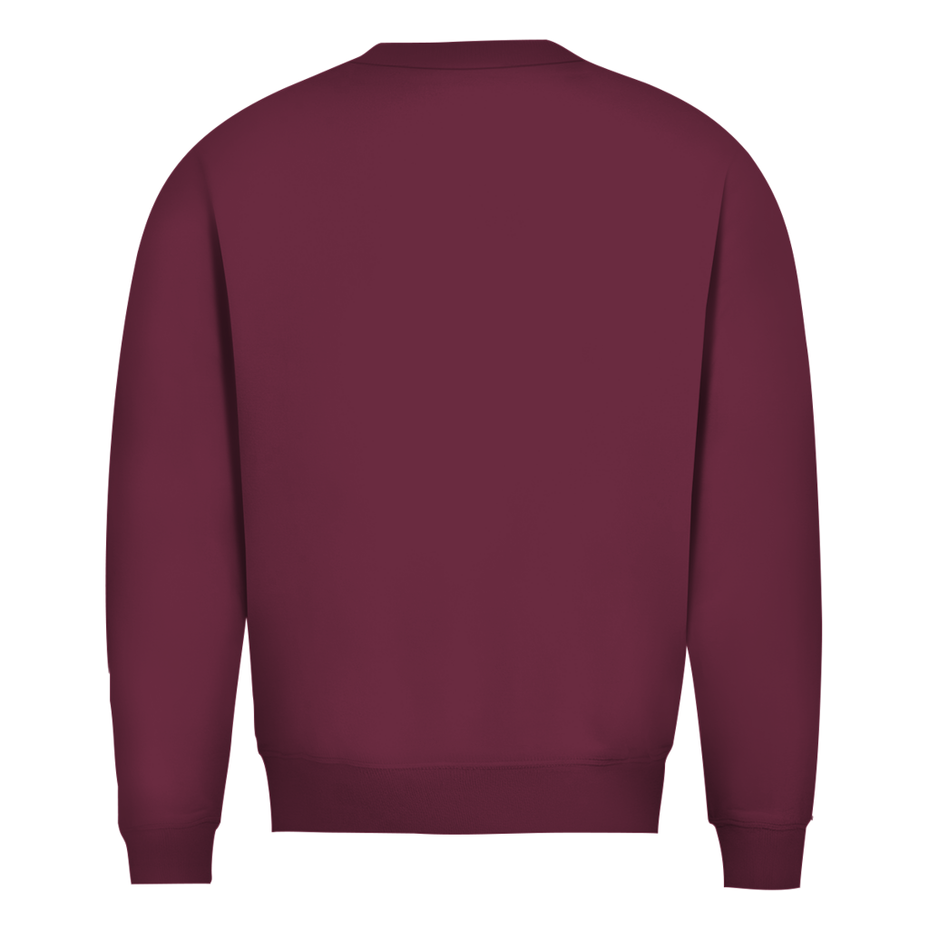 Herren Sweatshirt „Chaos mit STIL“ – Statement Sweatshirt mit Humor
