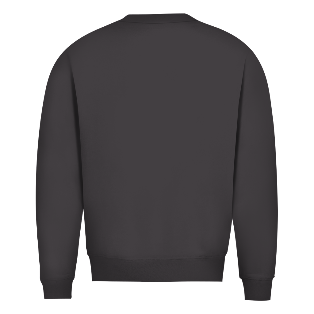 Herren Sweatshirt „Ich wollte die Welt verändern – aber sie wollte nicht zuhören“ | Lustiger Spruchpullover & Statement Sweater