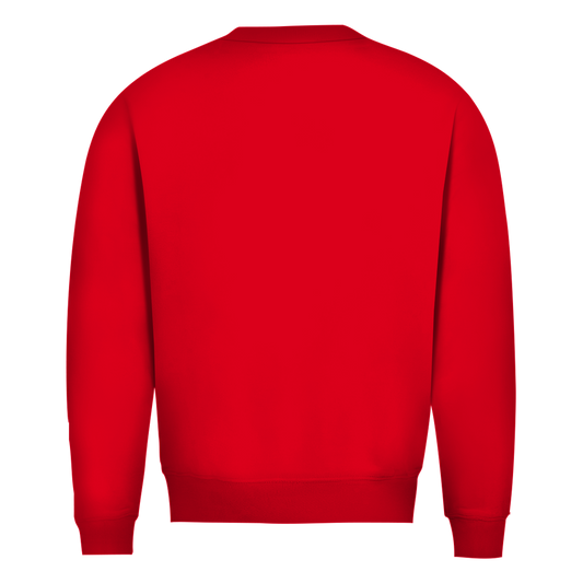 Herren Sweatshirt „Ich wollte die Welt verändern – aber sie wollte nicht zuhören“ | Lustiger Spruchpullover & Statement Sweater