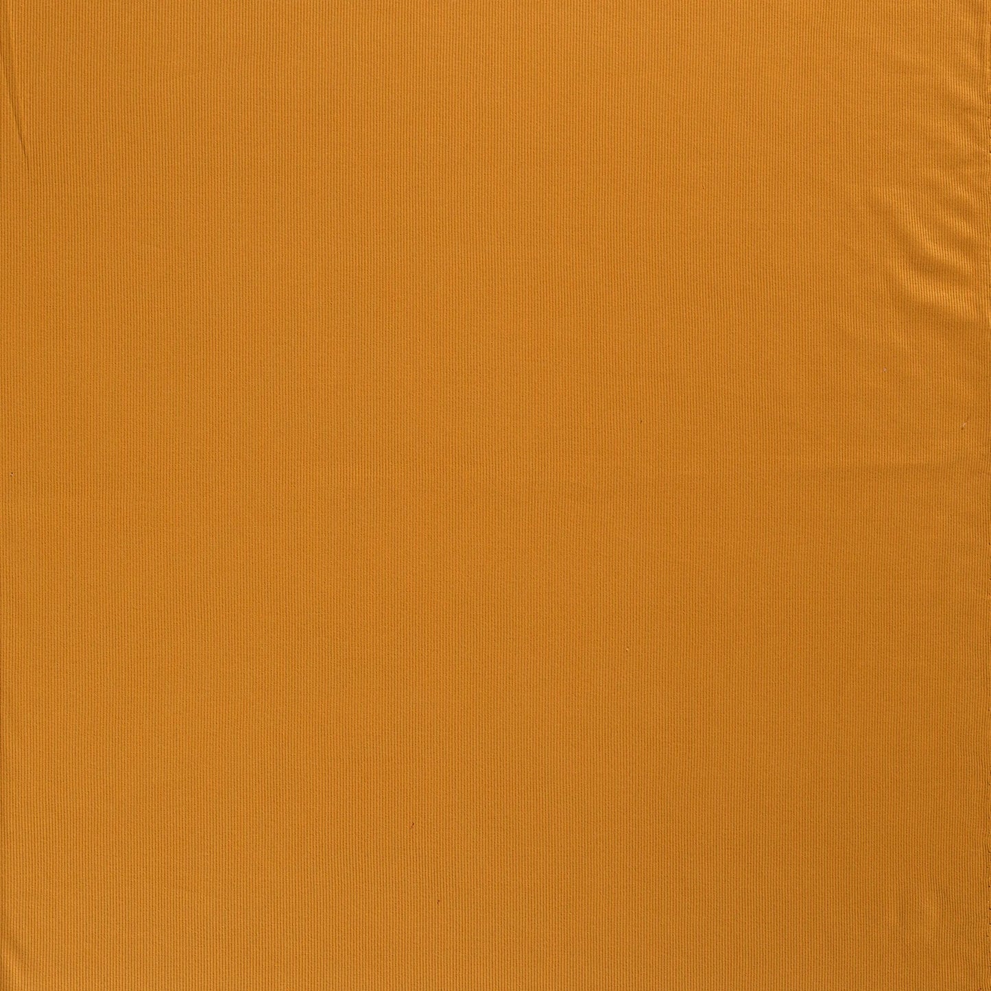 Rib Jersey Stoff Uni Ocker 0,5m